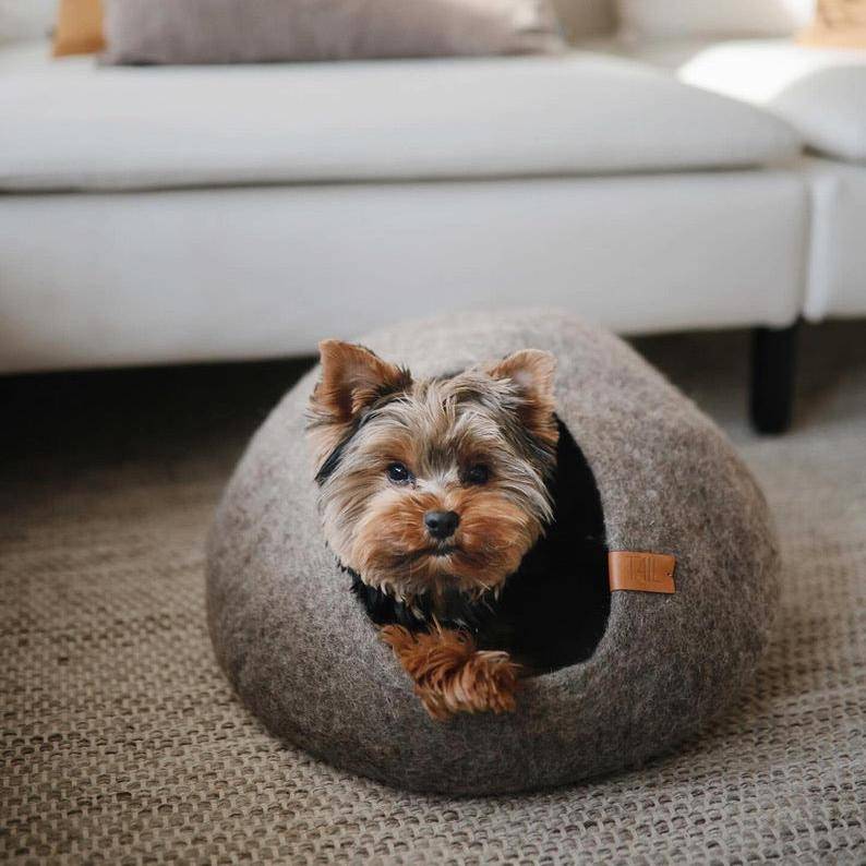 Image - dog sitting in cat bed in a taupe color
