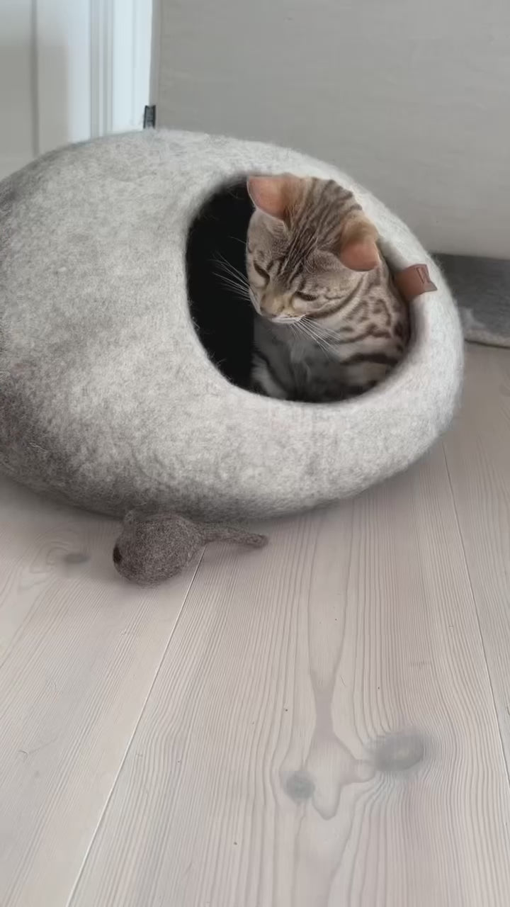 Video - Cat playing with at toy in a cat bed in graded color