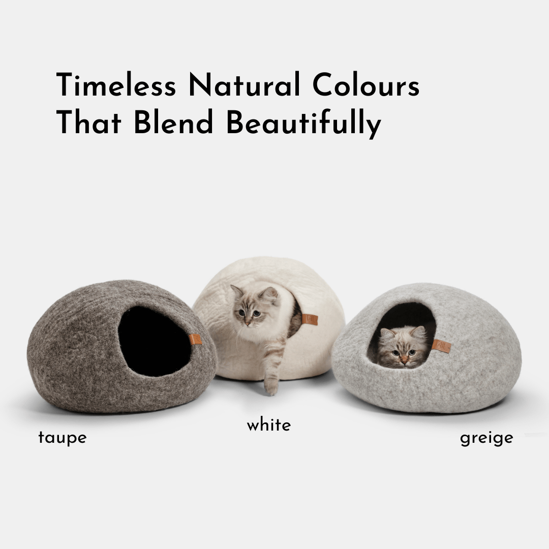 Cassius Kattbädd - Medium