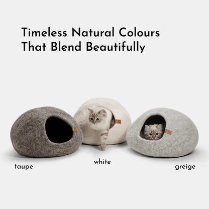 Cassius Kattbädd - Medium