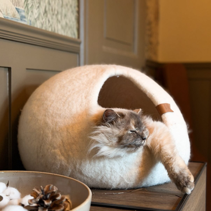 Cassius Kattbädd - Medium