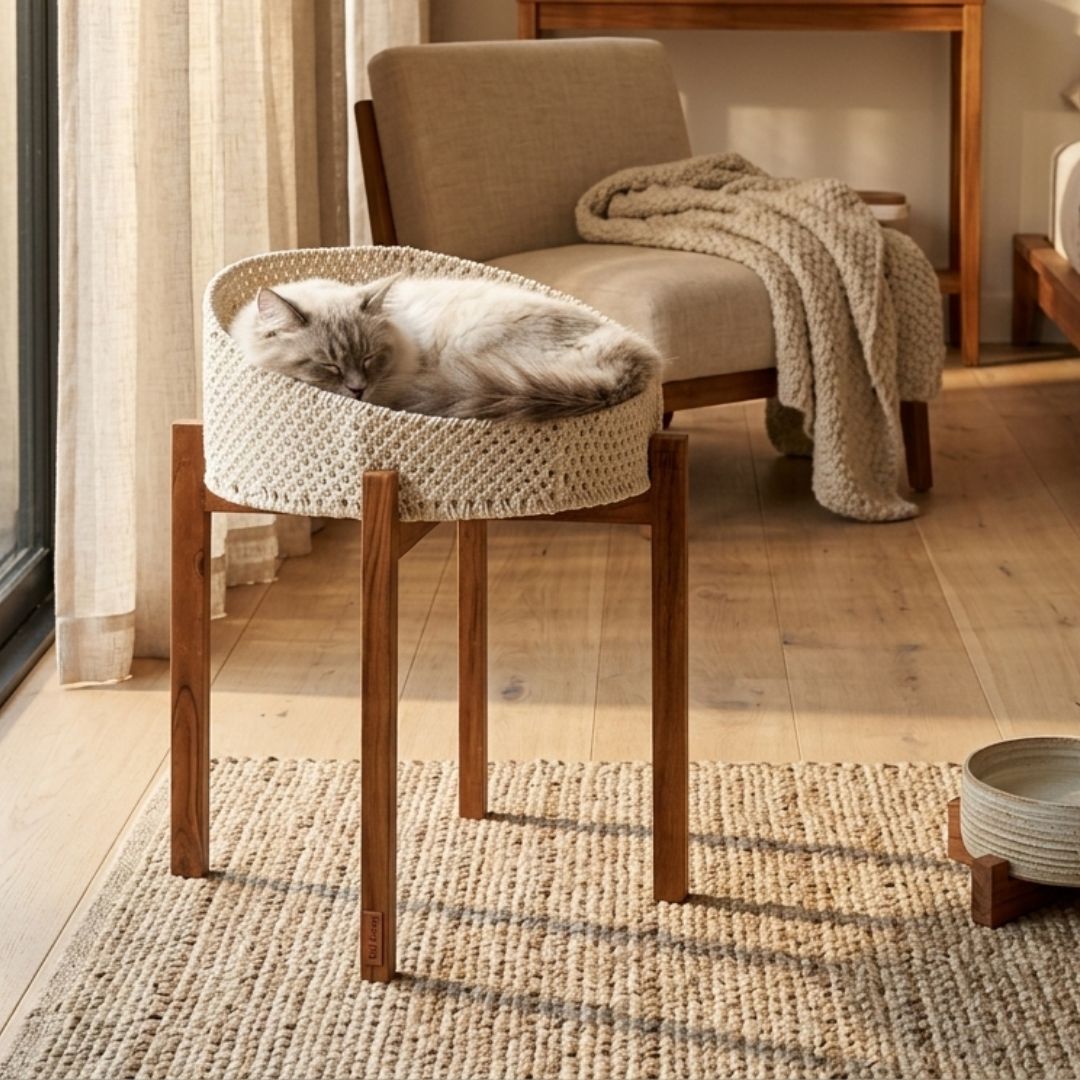 Stan Cat Bed