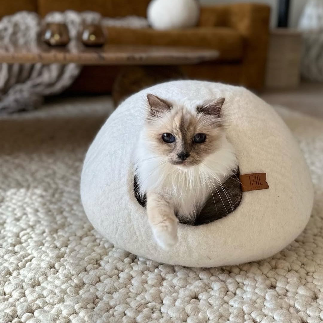 Cassius Kattbädd - Medium