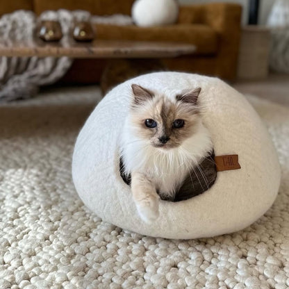 Cassius Kattbädd - Medium