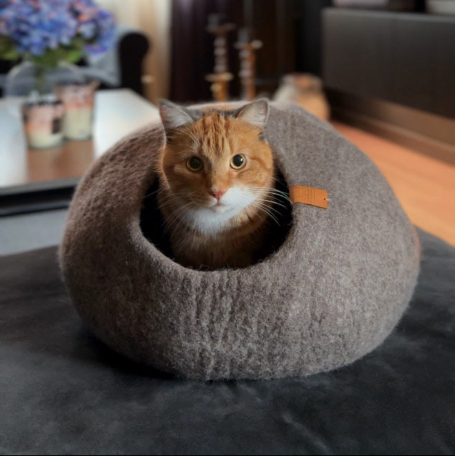 Cassius Kattbädd - Medium