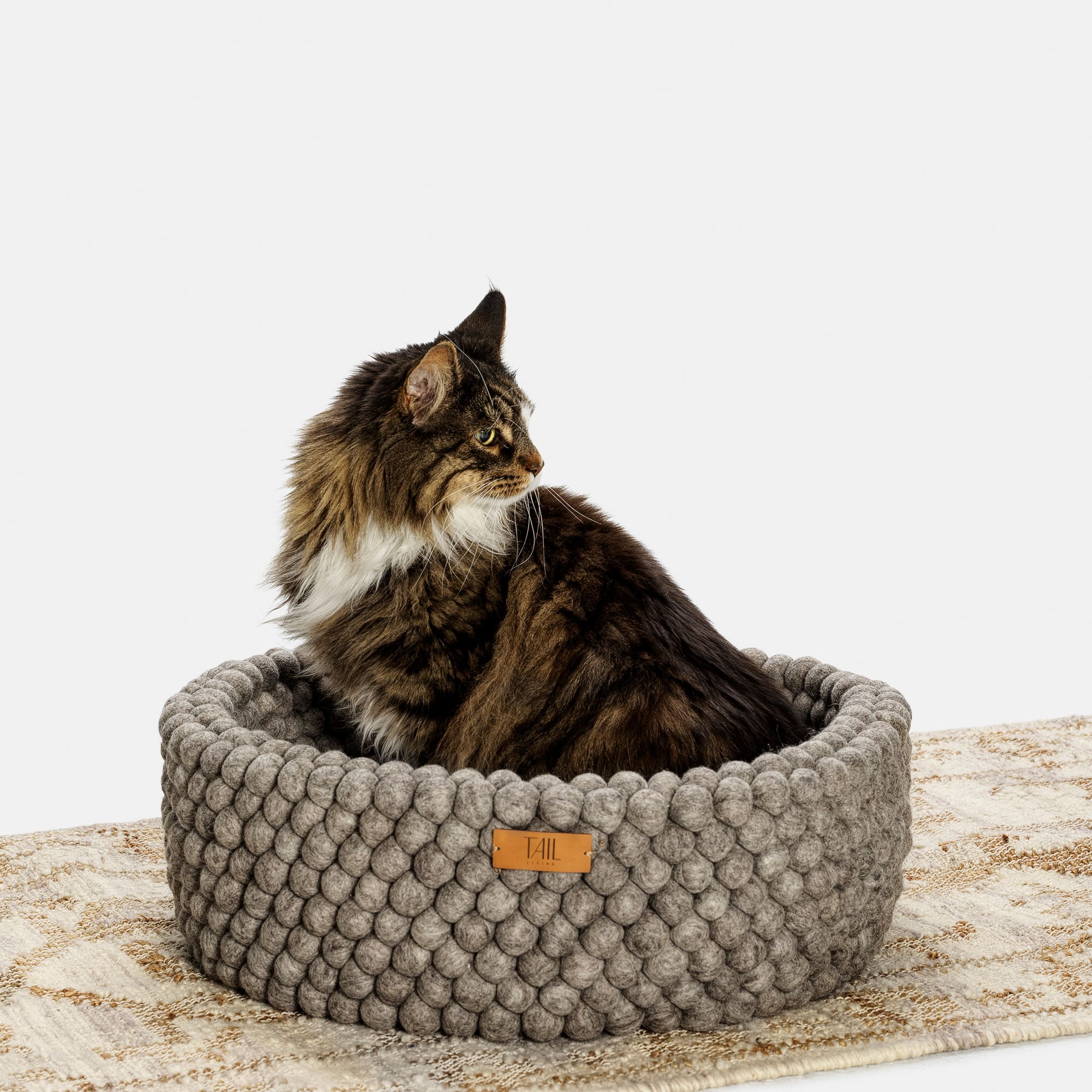 Bubble Bed for Cats Cozy and Comfortable Tail Living