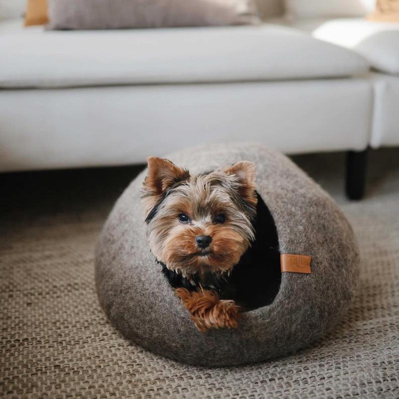 Image - dog sitting in cat bed in a taupe color