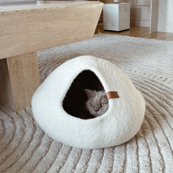 Cassius Kattbädd - Medium