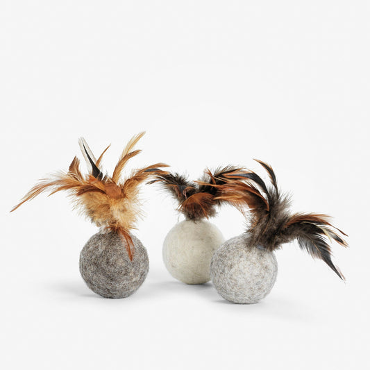 Image - cat play toys with feathers from the front