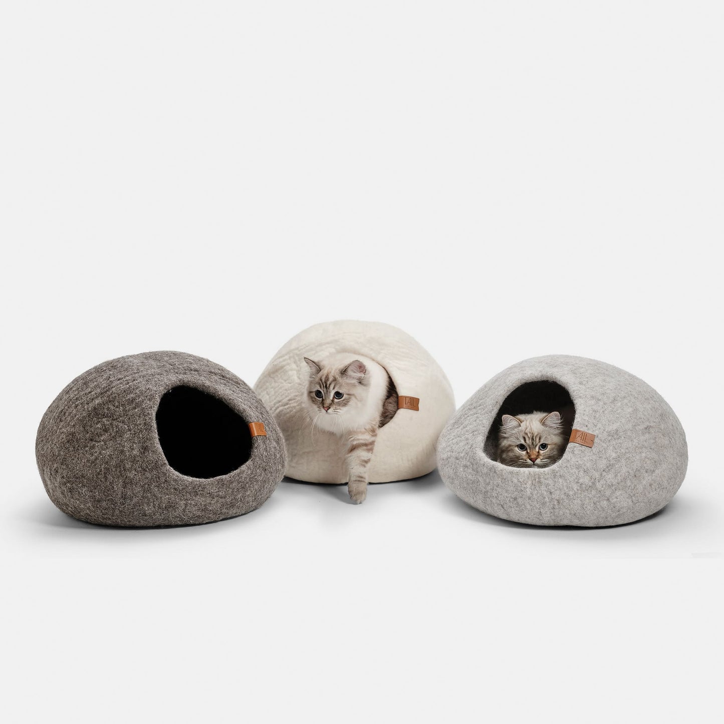 Image - three medium sized cat beds with cats in two