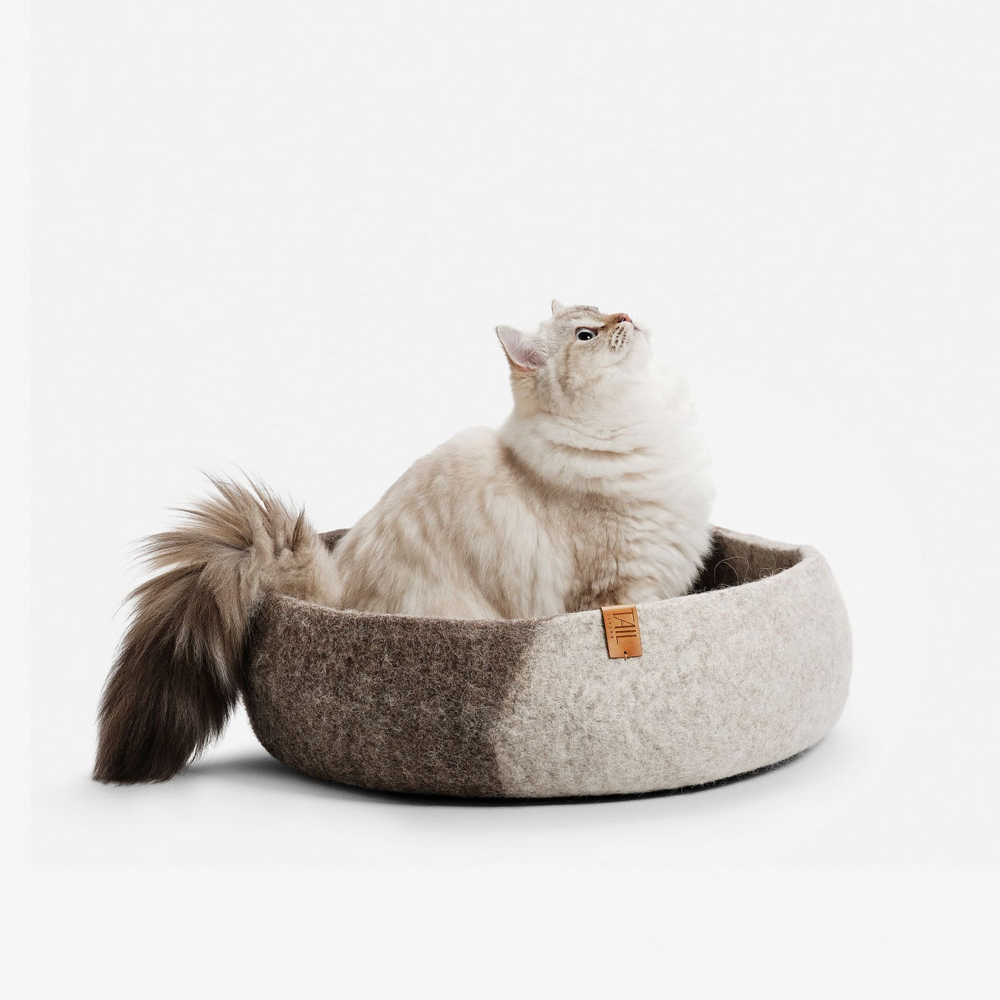 Image - taupe misty cat bed with cat sitting in it