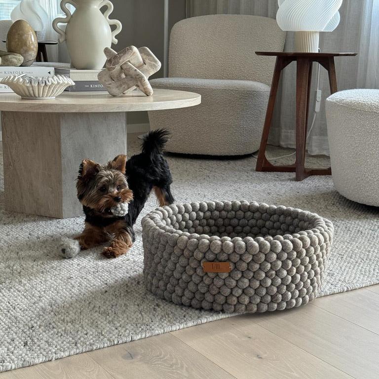 Image - Dog with cat toy in mouth in a stylish living room next to greige cat bed.