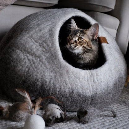 Graded Cassius Cat Cave - Large