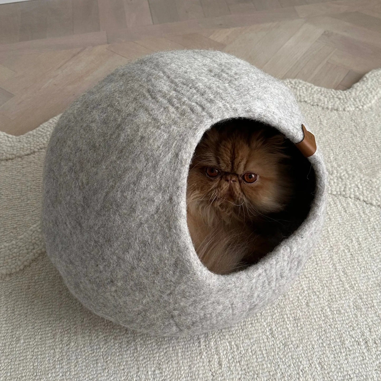 Cassius Kattbädd - Medium