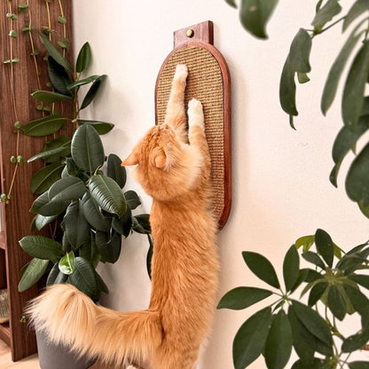 Line Scratching Board