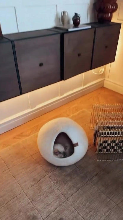 Cassius Kattbädd - Medium