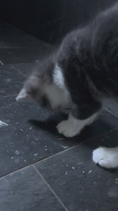 Fjäderbollar (3-pack)