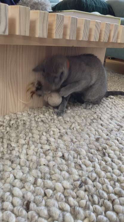 Fjäderbollar (3-pack)