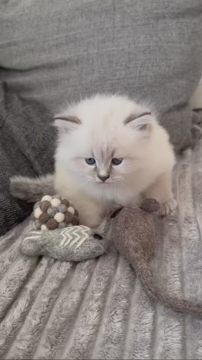 Milton Kattleksaker (3-pack)