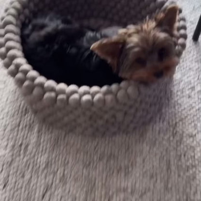 Bubble Bed